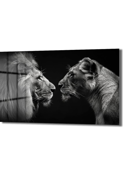 Dekorati̇f Aslan Çi̇ft Yatay Cam Tablo fiyatları