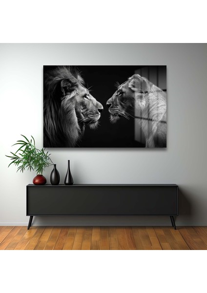 Dekorati̇f Aslan Çi̇ft Yatay Cam Tablo fırsatları