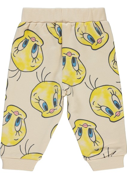 Kız Bebek Eşofman Altı 6-18 Ay Taş Rengi fiyatları