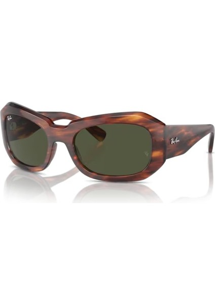 Rayban RB2212 95431 56 Güneş Gözlüğü