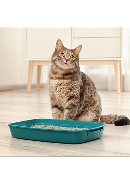Para Gatos Kokusuz Toz Yapmayan Topaklanan Kedi Kumu 10 Lt fırsatları