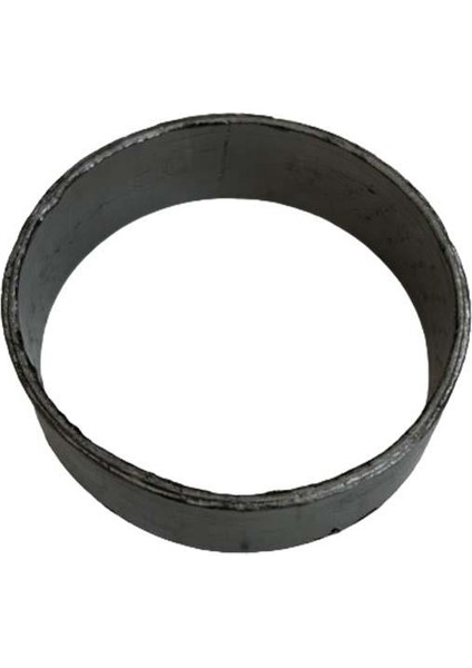 Bajaj Dominar D250 2020-2024 Egzoz Flanşı A