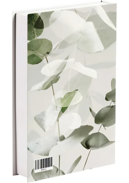572 Eucalyptus Shades fiyatları