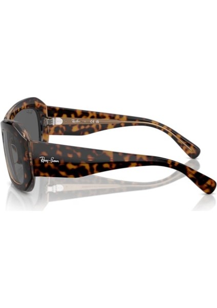 Rayban RB2212 1292B1 56 Güneş Gözlüğü fiyatları