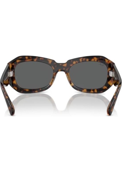 Rayban RB2212 1292B1 56 Güneş Gözlüğü modelleri