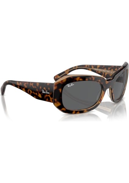 Rayban RB2212 1292B1 56 Güneş Gözlüğü fırsatları