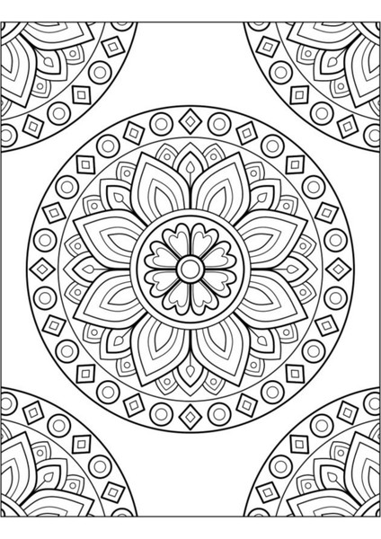 Herkes İçin Harika Mandala Seti 4 Kitap fiyatları