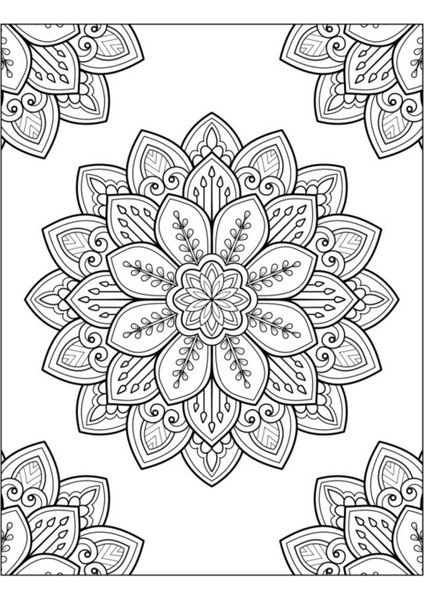 Herkes İçin Harika Mandala Seti 4 Kitap modelleri