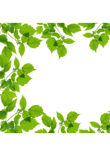 60X60 LED Panel Aydınlatma Armatür Avize Sıva Altı Desenli Tekli 46510379SA