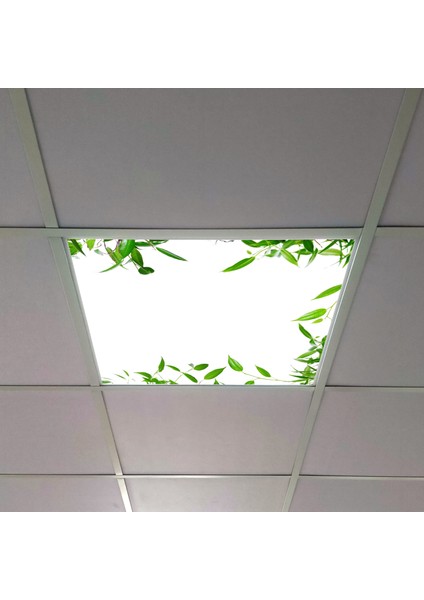 60X60 LED Panel Aydınlatma Armatür Avize Sıva Altı Desenli Tekli 46510376SA