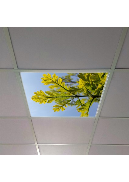 60X60 LED Panel Aydınlatma Armatür Avize Sıva Altı Desenli Tekli 46510335SA