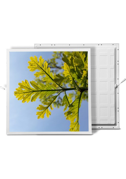 60X60 LED Panel Aydınlatma Armatür Avize Sıva Altı Desenli Tekli 46510335SA