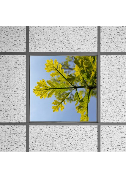 60X60 LED Panel Aydınlatma Armatür Avize Sıva Altı Desenli Tekli 46510335SA