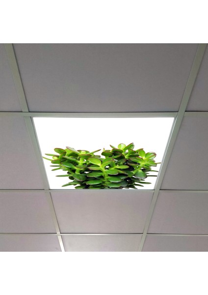60X60 LED Panel Aydınlatma Armatür Avize Sıva Altı Desenli Tekli 46510368SA