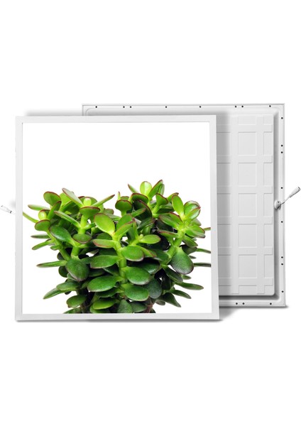 60X60 LED Panel Aydınlatma Armatür Avize Sıva Altı Desenli Tekli 46510368SA