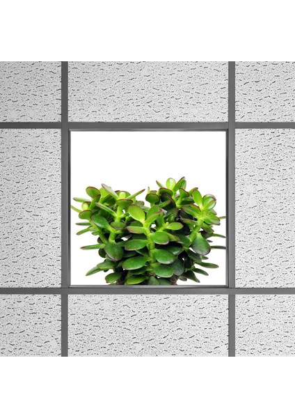 60X60 LED Panel Aydınlatma Armatür Avize Sıva Altı Desenli Tekli 46510368SA
