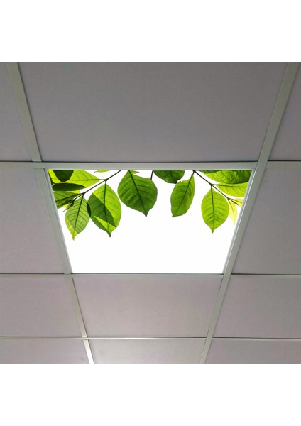 60X60 LED Panel Aydınlatma Armatür Avize Sıva Altı Desenli Tekli 46510409SA