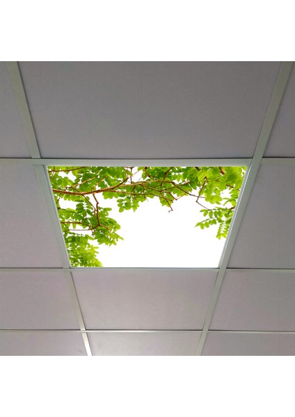 60X60 LED Panel Aydınlatma Armatür Avize Sıva Altı Desenli Tekli 46510382SA
