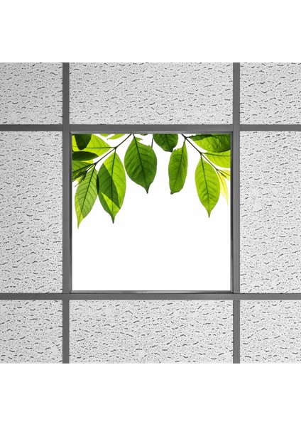 60X60 LED Panel Aydınlatma Armatür Avize Sıva Altı Desenli Tekli 46510409SA fırsatları