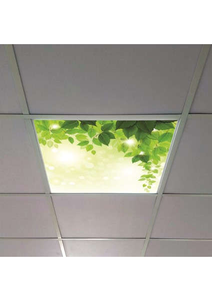 60X60 LED Panel Aydınlatma Armatür Avize Sıva Altı Desenli Tekli 46510385SA