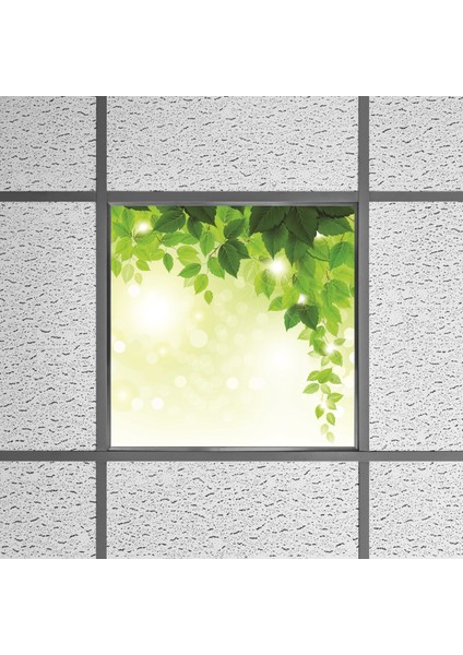 60X60 LED Panel Aydınlatma Armatür Avize Sıva Altı Desenli Tekli 46510385SA