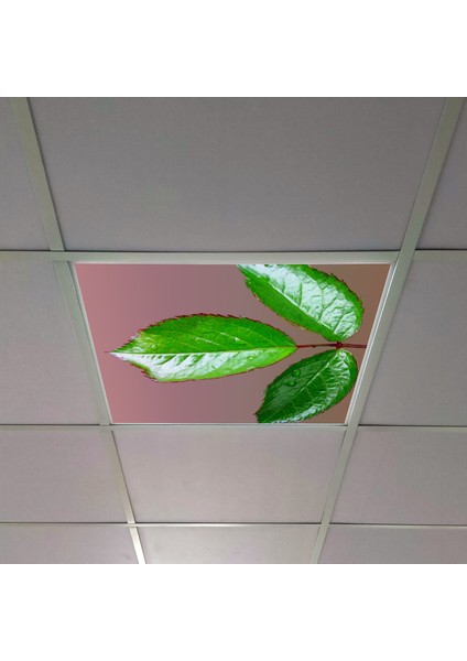 60X60 LED Panel Aydınlatma Armatür Avize Sıva Altı Desenli Tekli 46510350SA