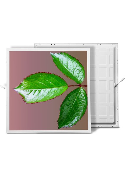 60X60 LED Panel Aydınlatma Armatür Avize Sıva Altı Desenli Tekli 46510350SA fiyatları
