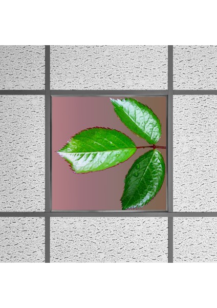 60X60 LED Panel Aydınlatma Armatür Avize Sıva Altı Desenli Tekli 46510350SA fırsatları