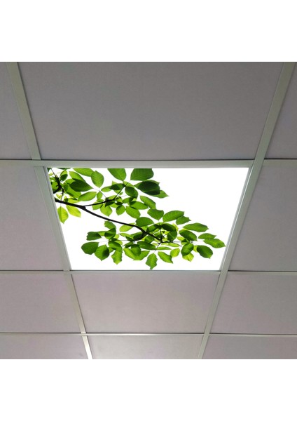 60X60 LED Panel Aydınlatma Armatür Avize Sıva Altı Desenli Tekli 46510400SA