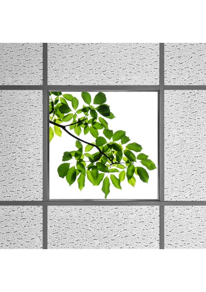 60X60 LED Panel Aydınlatma Armatür Avize Sıva Altı Desenli Tekli 46510400SA