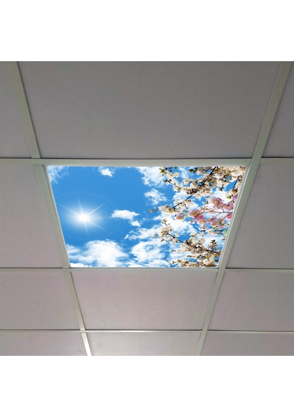 60X60 LED Panel Aydınlatma Armatür Avize Sıva Altı Desenli Tekli 46510454SA