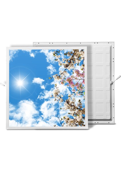 60X60 LED Panel Aydınlatma Armatür Avize Sıva Altı Desenli Tekli 46510454SA