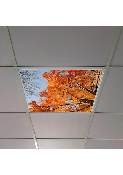 60X60 LED Panel Aydınlatma Armatür Avize Sıva Altı Desenli Tekli 46510478SA