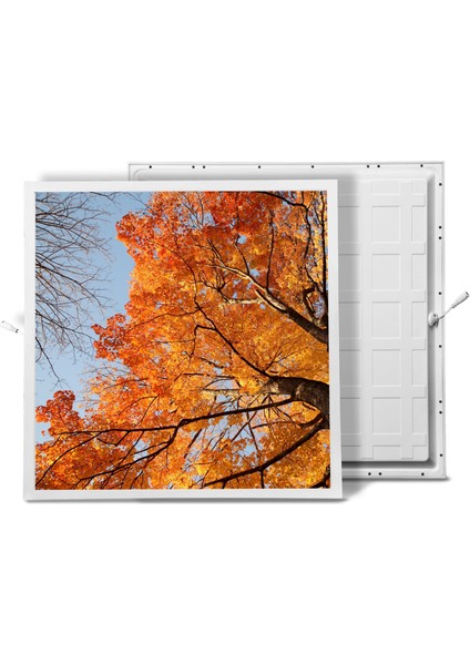 60X60 LED Panel Aydınlatma Armatür Avize Sıva Altı Desenli Tekli 46510478SA