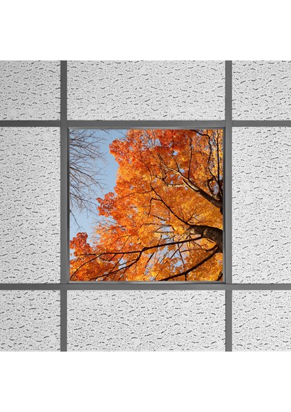 60X60 LED Panel Aydınlatma Armatür Avize Sıva Altı Desenli Tekli 46510478SA