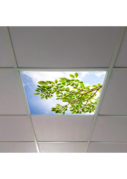 60X60 LED Panel Aydınlatma Armatür Avize Sıva Altı Desenli Tekli 46510501SA
