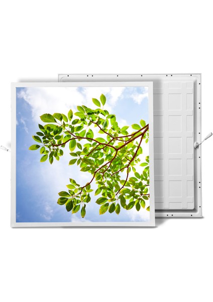 60X60 LED Panel Aydınlatma Armatür Avize Sıva Altı Desenli Tekli 46510501SA