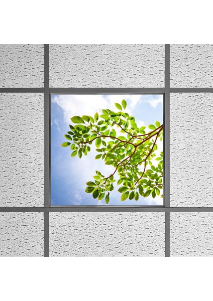 60X60 LED Panel Aydınlatma Armatür Avize Sıva Altı Desenli Tekli 46510501SA