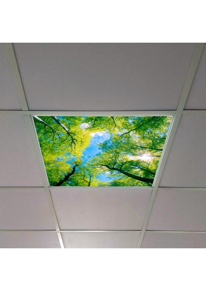 60X60 LED Panel Aydınlatma Armatür Avize Sıva Altı Desenli Tekli 46510383SA