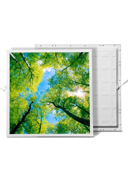 60X60 LED Panel Aydınlatma Armatür Avize Sıva Altı Desenli Tekli 46510383SA