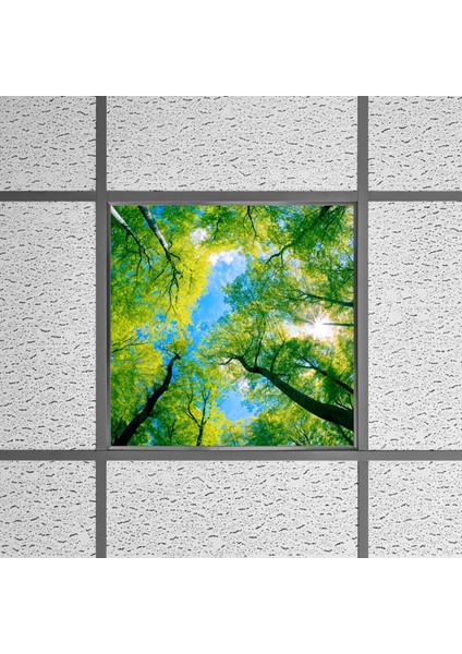 60X60 LED Panel Aydınlatma Armatür Avize Sıva Altı Desenli Tekli 46510383SA