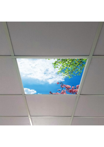 60X60 LED Panel Aydınlatma Armatür Avize Sıva Altı Desenli Tekli 46510422SA