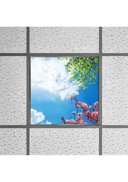 60X60 LED Panel Aydınlatma Armatür Avize Sıva Altı Desenli Tekli 46510422SA
