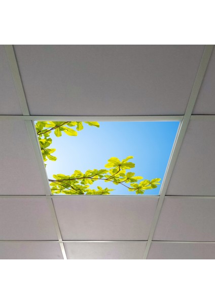 60X60 LED Panel Aydınlatma Armatür Avize Sıva Altı Desenli Tekli 46510491SA