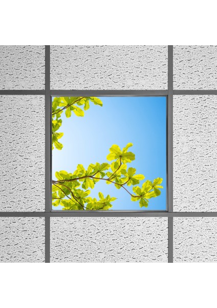 60X60 LED Panel Aydınlatma Armatür Avize Sıva Altı Desenli Tekli 46510491SA