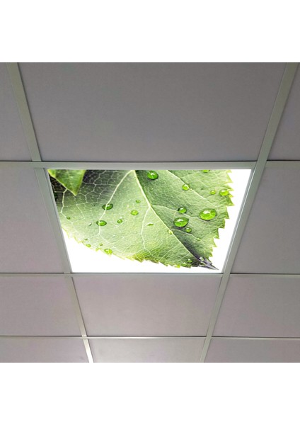 60X60 LED Panel Aydınlatma Armatür Avize Sıva Altı Desenli Tekli 46510362SA
