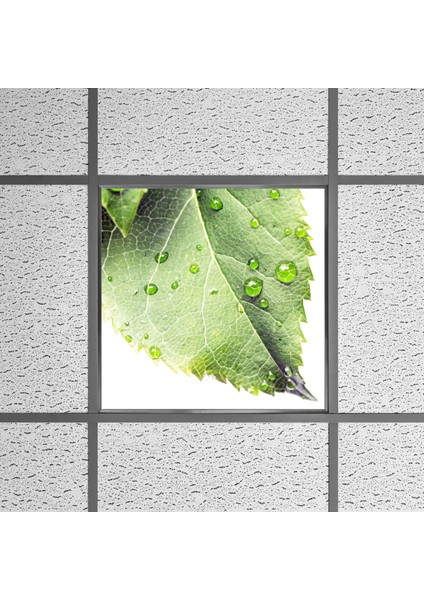 60X60 LED Panel Aydınlatma Armatür Avize Sıva Altı Desenli Tekli 46510362SA