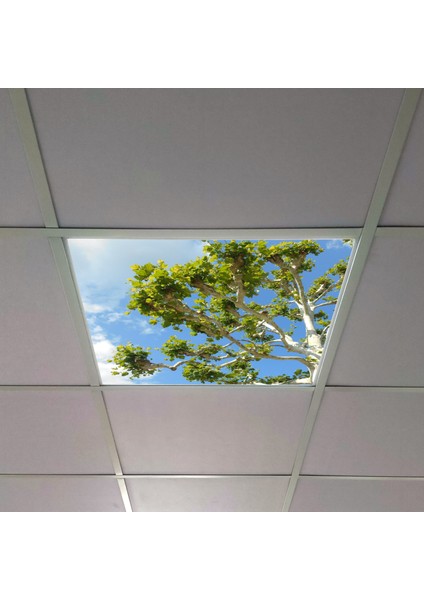60X60 LED Panel Aydınlatma Armatür Avize Sıva Altı Desenli Tekli 46510489SA