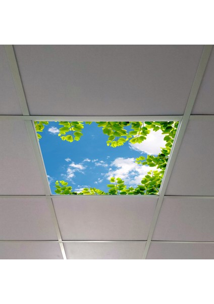 60X60 LED Panel Aydınlatma Armatür Avize Sıva Altı Desenli Tekli 46510387SA