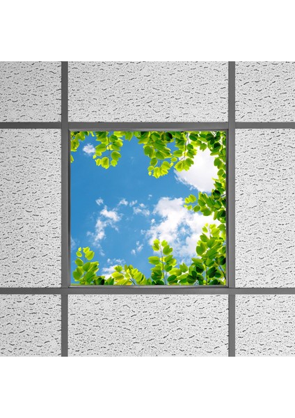 60X60 LED Panel Aydınlatma Armatür Avize Sıva Altı Desenli Tekli 46510387SA